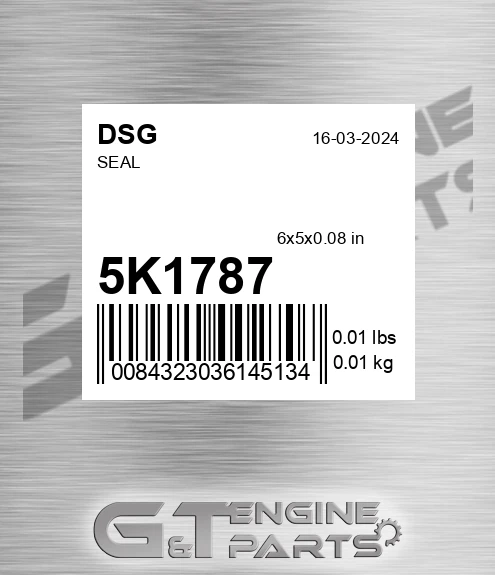 5K1787 DSG Seal