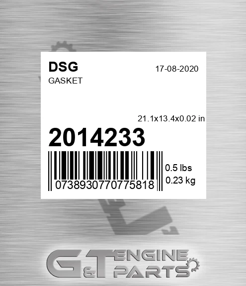 2014233 DSG Gasket
