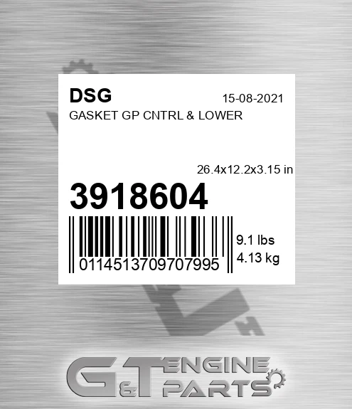 3918604 Gasket Gp Cntrl & Lower