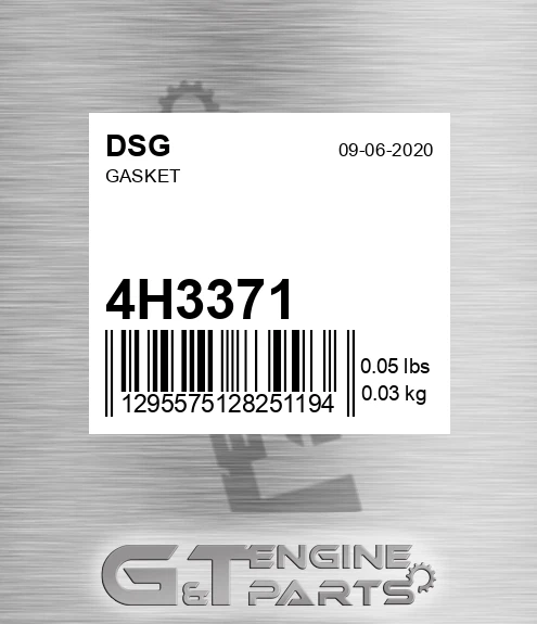 4H3371 DSG Gasket