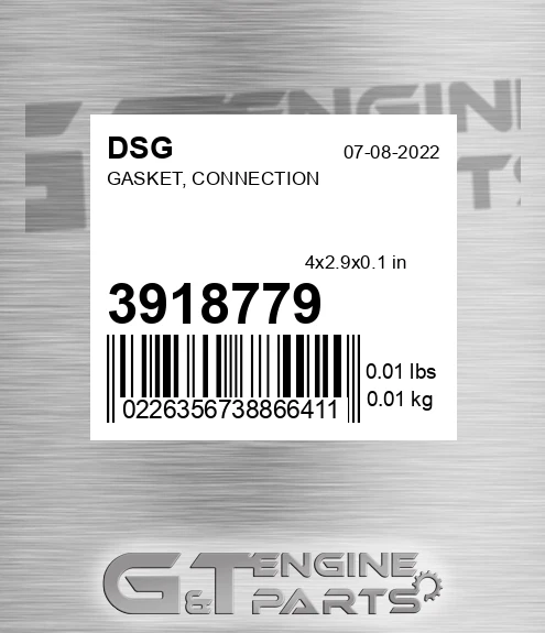 3918779 DSG Gasket, Connection