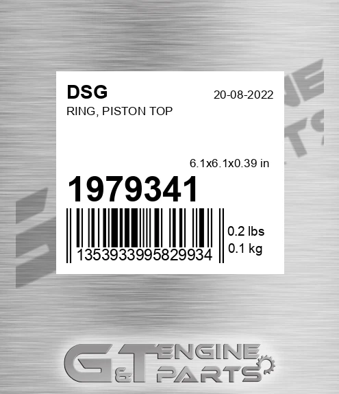 1979341 DSG Ring, Piston Top