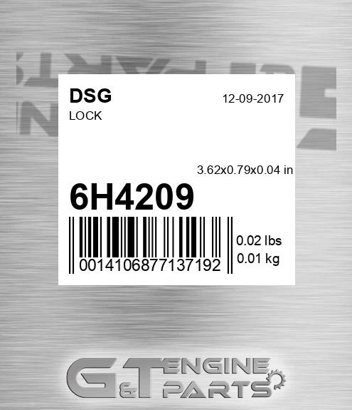 6H4209 DSG Lock