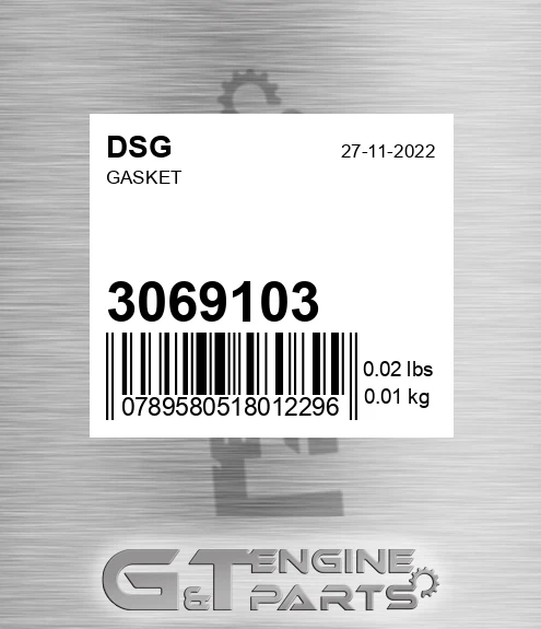 3069103 DSG Gasket