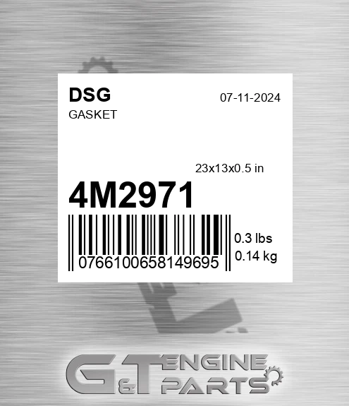 4M2971 Gasket