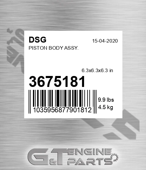 3675181 Piston Body Assy.