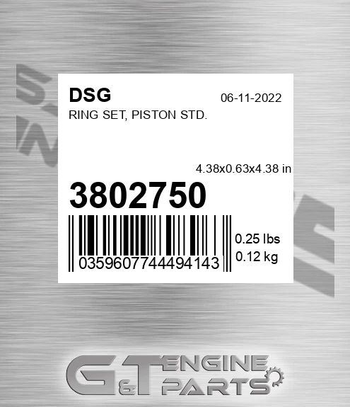 3802750 DSG Ring Set, Piston Std.
