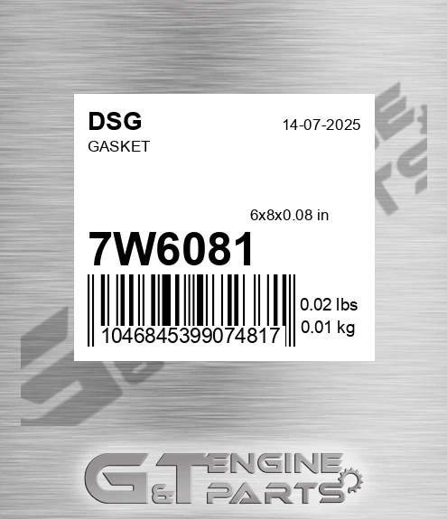 7W6081 DSG Gasket