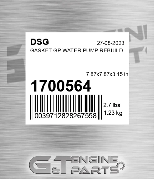 1700564 DSG Gasket Gp Water Pump Rebuild