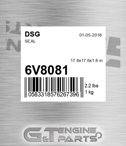 6V8081 DSG Seal