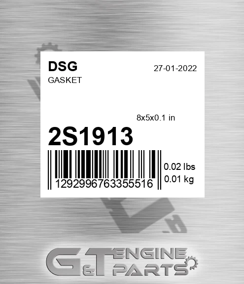2S1913 DSG Gasket