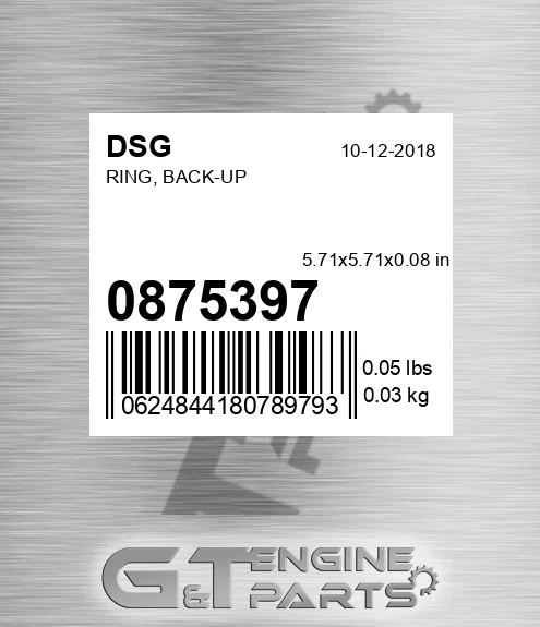 0875397 DSG Ring, Back-up