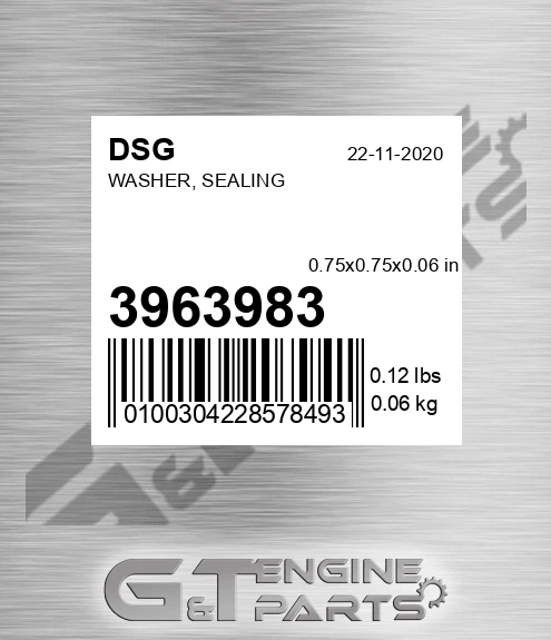 3963983 DSG Washer, Sealing