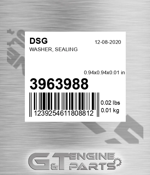 3963988 DSG Washer, Sealing