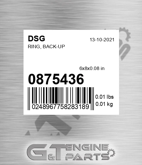 0875436 DSG Ring, Back-up