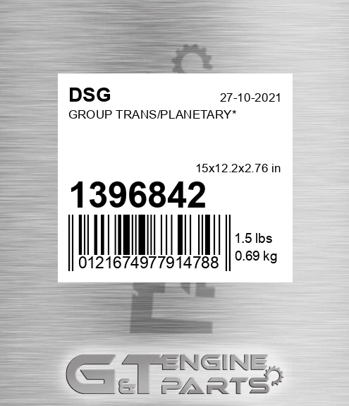 1396842 DSG Group Trans/planetary*