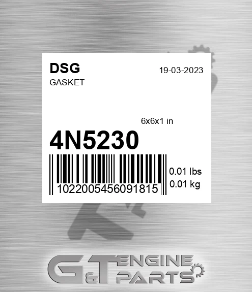 4N5230 DSG Gasket