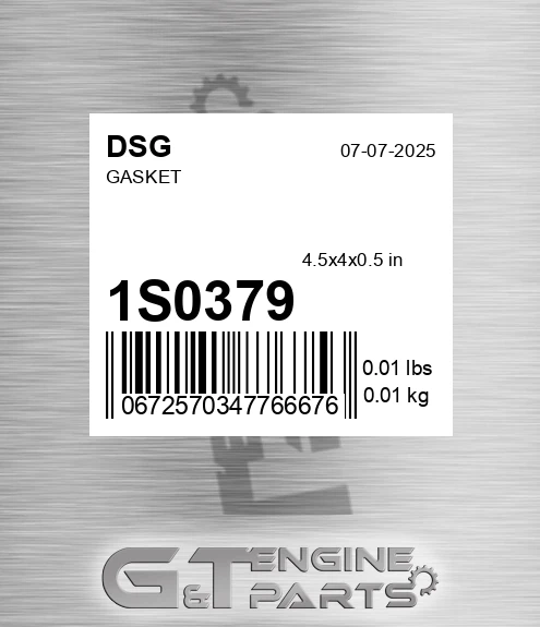 1S0379 DSG Gasket