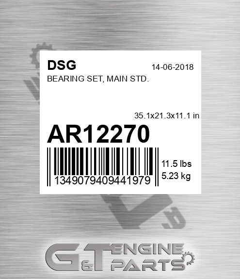 AR12270 DSG Bearing Set, Main Std.
