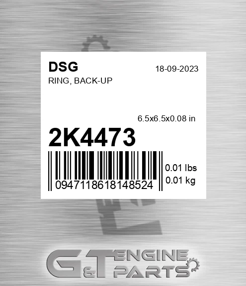 2K4473 DSG Ring, Back-up
