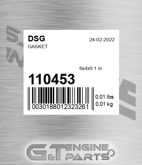 110453 DSG Gasket