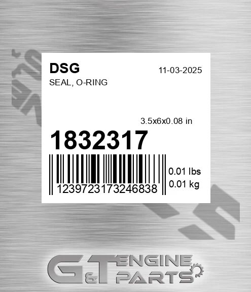 1832317 DSG Seal, O-ring
