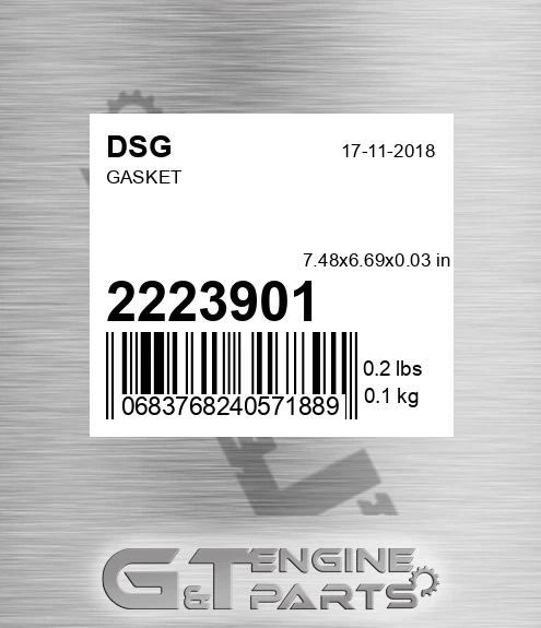 2223901 DSG Gasket