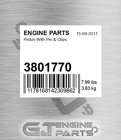 3801770 Piston With Pin & Clips
