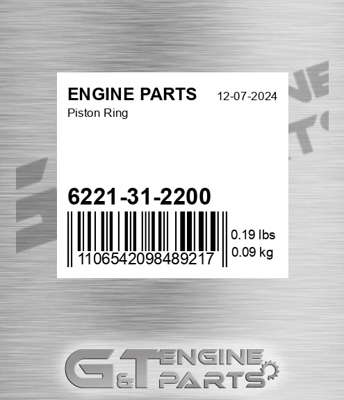 6221-31-2200 Piston Ring