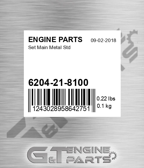 6204-21-8100 Set Main Metal Std