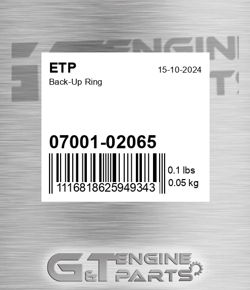 0700102065 Back-up Ring for ETP
