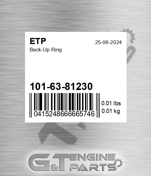 101-63-81230 Back-up Ring