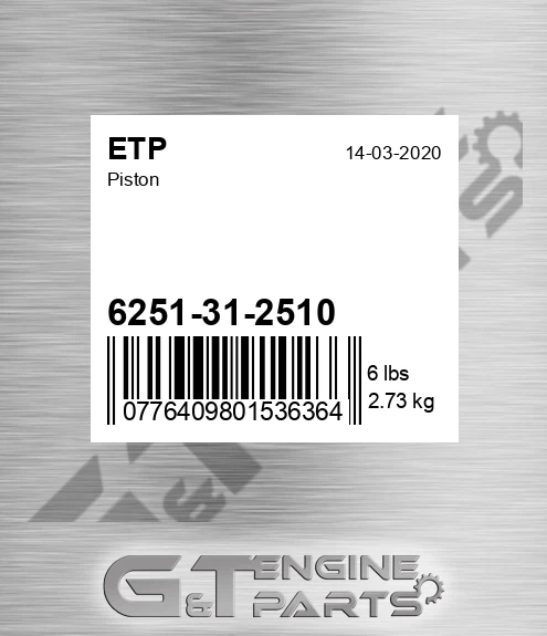 6251-31-2510 Piston for ETP