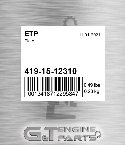 419-15-12310 Plate