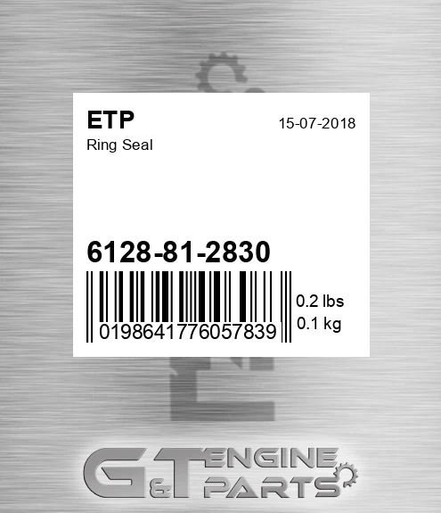 6128812830 Ring Seal