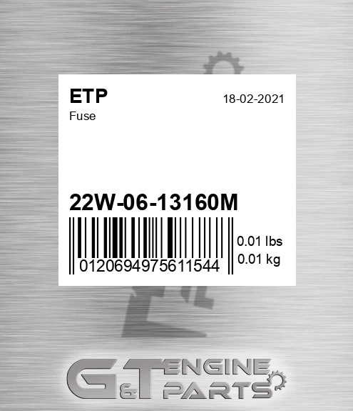 22W-06-13160M Fuse