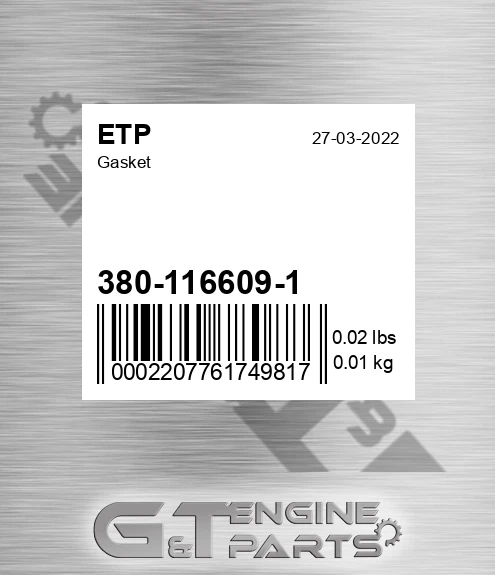 380-116609-1 Gasket