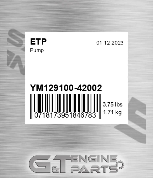 YM129100-42002 Pump for ETP