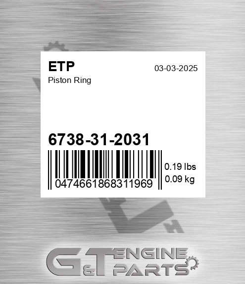 6738-31-2031 Piston Ring for ETP