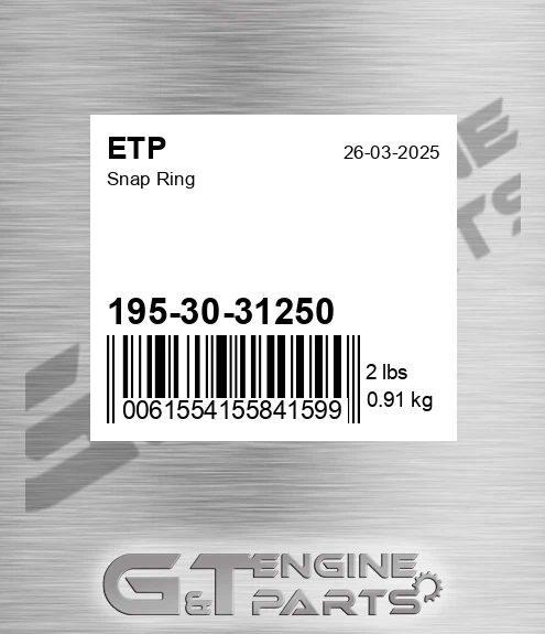 195-30-31250 Snap Ring for ETP