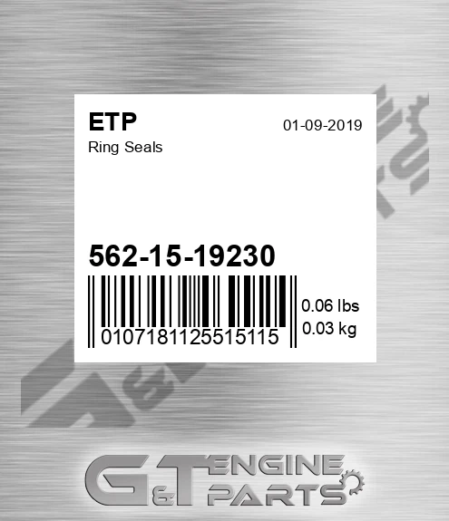 562-15-19230 Ring Seals