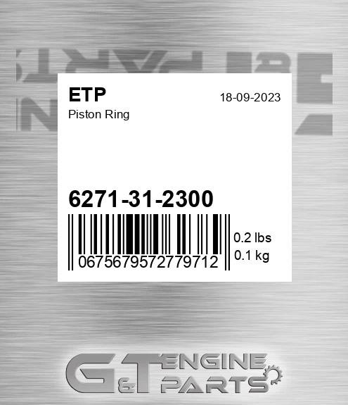 6271-31-2300 Piston Ring for ETP