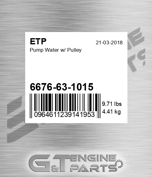 6676-63-1015 Pump Water W/ Pulley