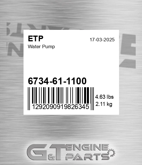 6734-61-1100 Water Pump for ETP