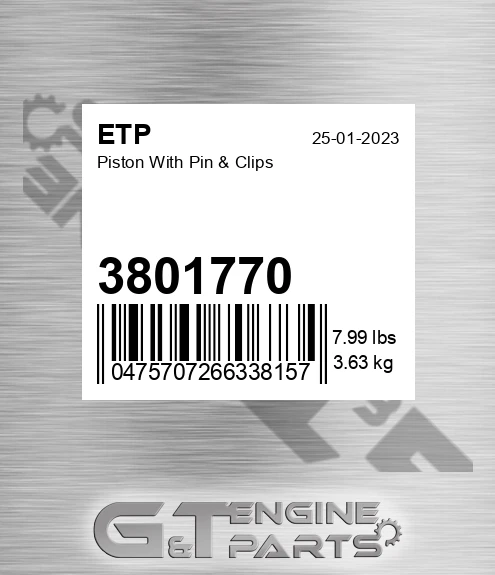 3801770 Piston With Pin & Clips