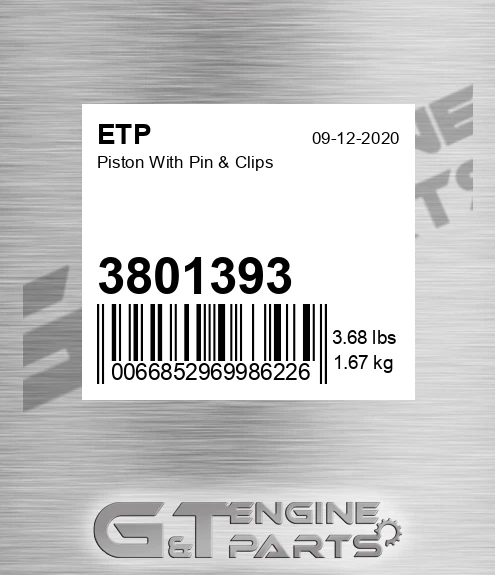 3801393 Piston With Pin & Clips