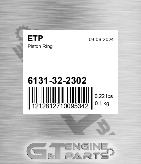 6131322302 Piston Ring for ETP