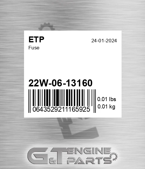 22W-06-13160 Fuse