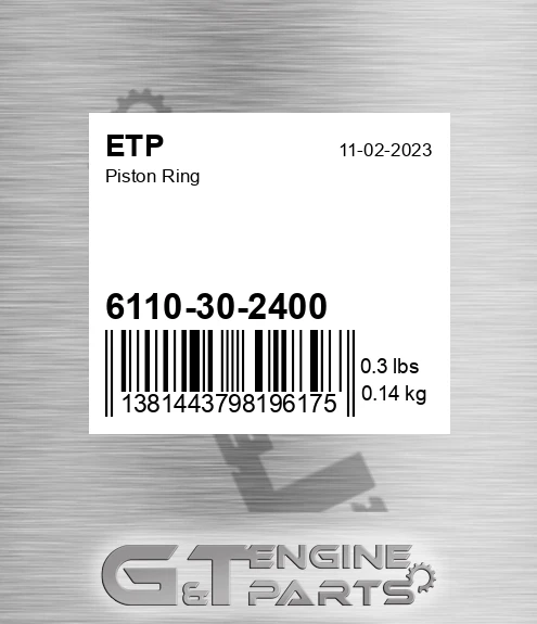 6110-30-2400 Piston Ring for ETP