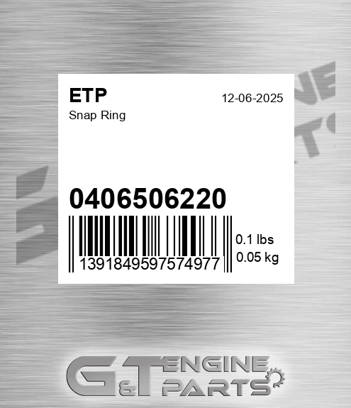 0406506220 Snap Ring for ETP